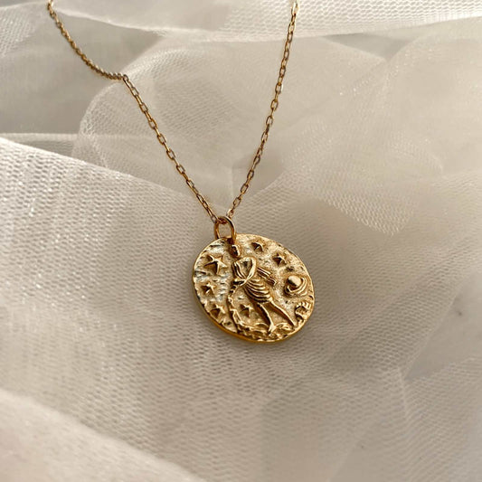 2 AQUARIUS / WASSERMANN / VESIMIES