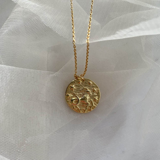 1 CAPRICORN / STEINBOCK